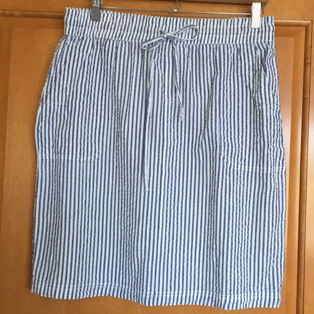 Blue and white striped knee length skirt